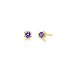 February Bezel Birthstone Earrings
